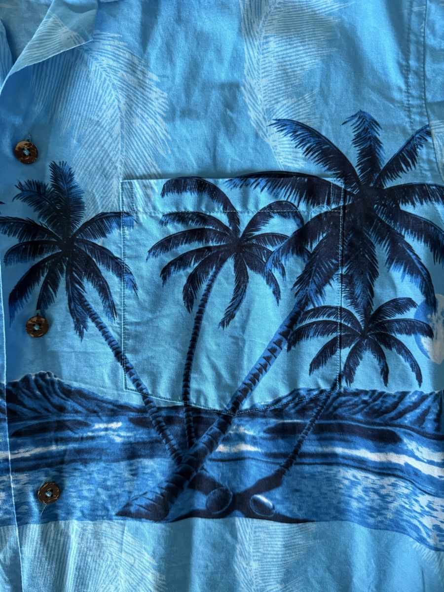 Camicie: Hawaii Shirt – Usato da Steffisburg venduto da laura_bazinga 1