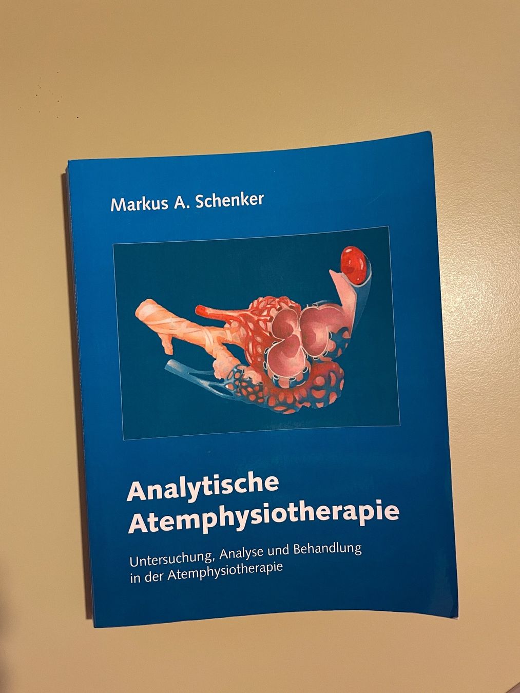 Libri: Analytische Atemphysiotherapie – Usato da Embrach venduto da Smart0