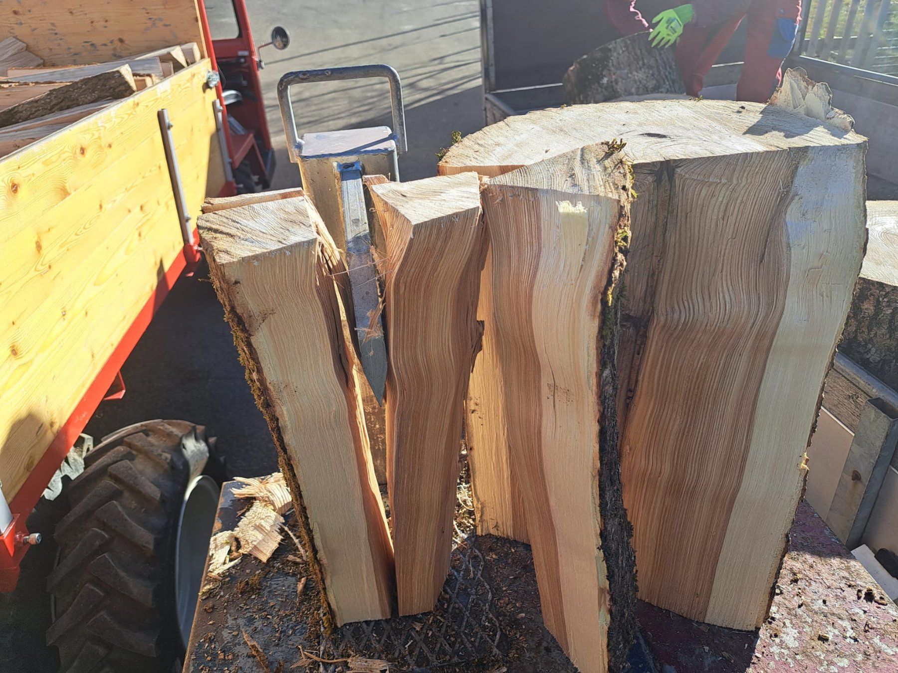 Articoli in legno: Brennholz Esche – Nuovo e nell'imballaggio originale da Entlebuch venduto da Muesli05 6