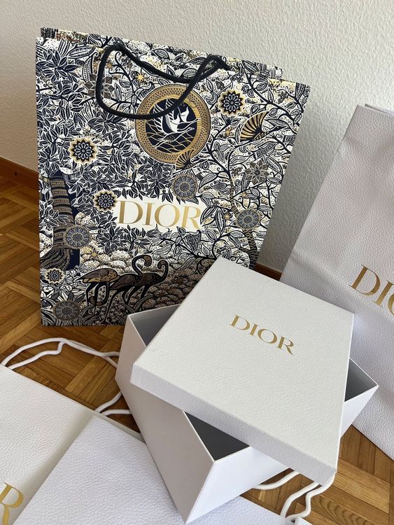 Sac discount carton dior