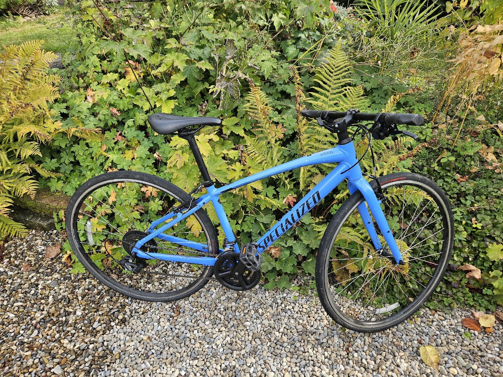 Specialized Velos: Specialized Sirrus 1 – Gebraucht aus Burgdorf von I3iRd