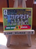 Sticker Panini Équipe Senegal Football FIFA SEN 13