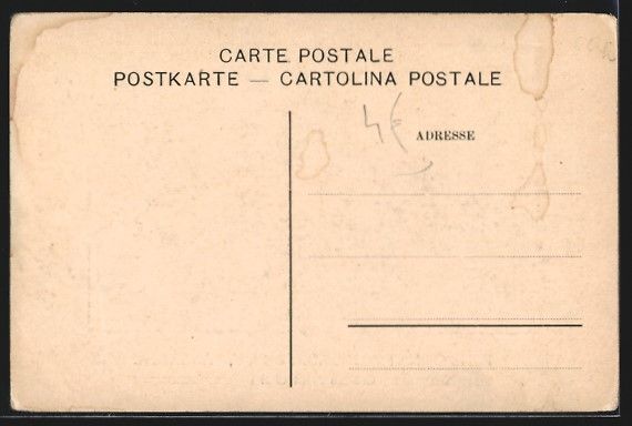 Cartes postales: Lausanne, Pensionnat Schenker, Roy, Chat – D'occasion à Berlin par bartko-reher 1