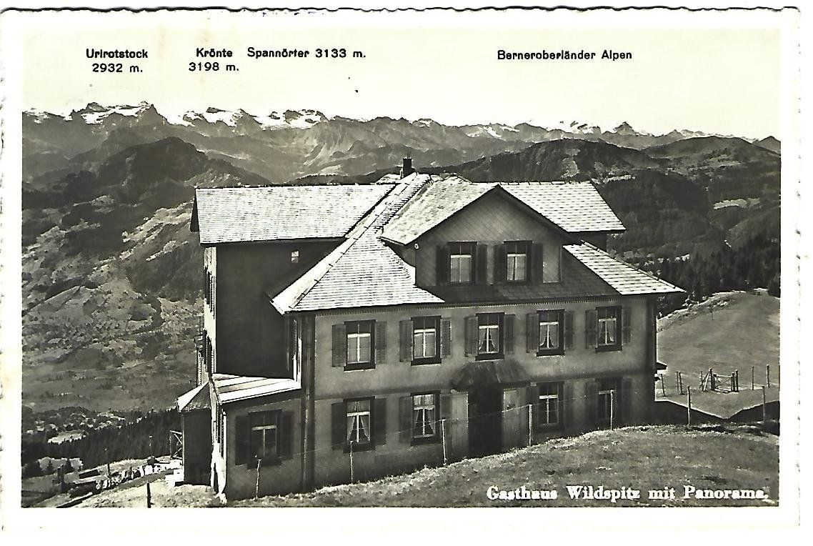 Cartoline postali: Gasthaus Wildspitz Stempel Sattel – Usato da Wetzikon ZH venduto da Brulu100