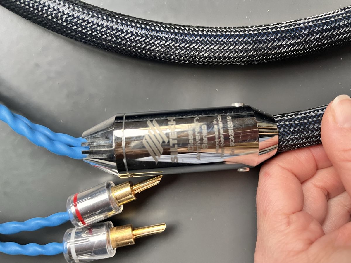 Cavi: Siltech Classic Anniversary 330L Speaker Cables 2M – Usato da Küssnacht am Rigi venduto da lus_g9xw 5