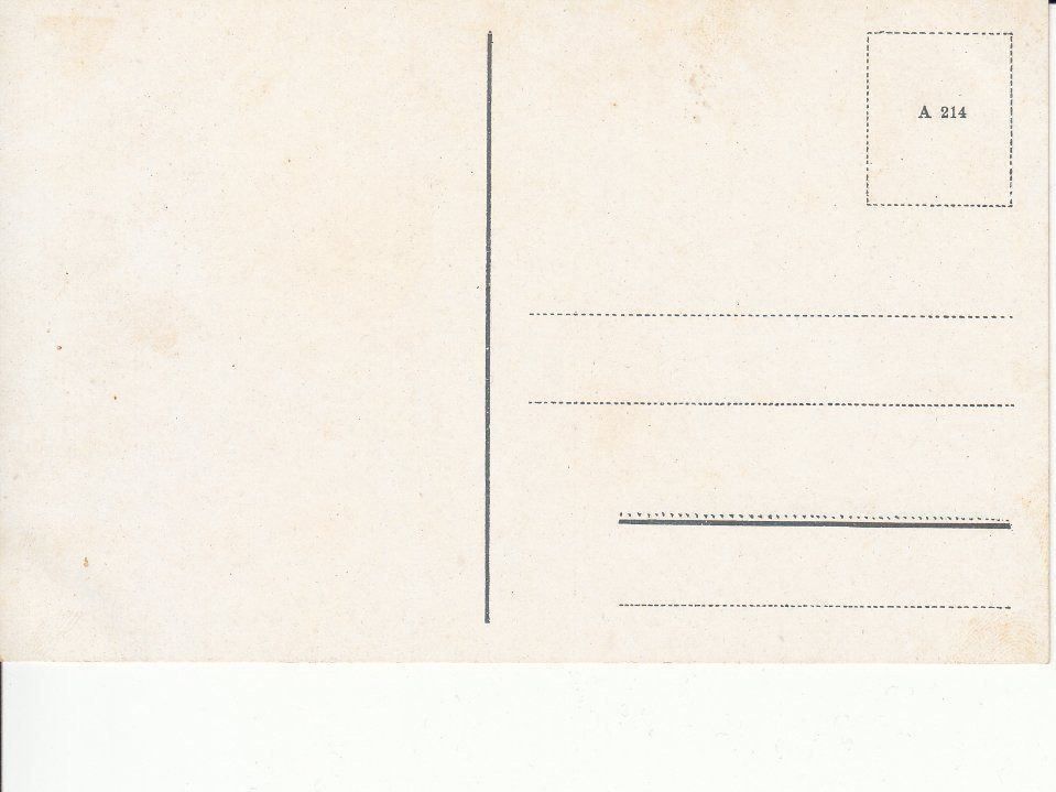 Cartoline postali: Nesslau, um 1910 – Usato da Bürglen TG venduto da StampGraf 1