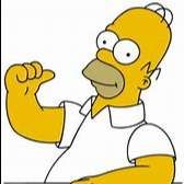 Profile image of HomerSi