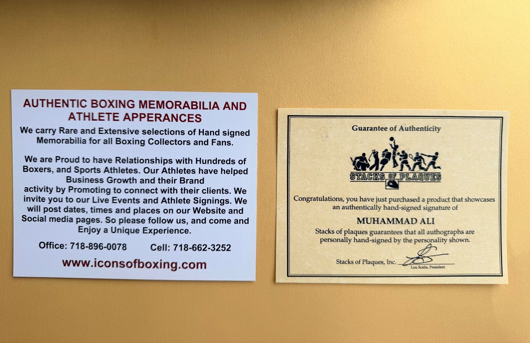 Autografi: Boxhandschuh mit Original-Autogramm Muhammad Ali – Nuovo e nell'imballaggio originale da Bachenbülach venduto da inn_5kmg 4