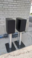 Jamo C803 Regallautsprecher mit Spectral Ständer