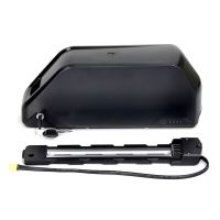 SAMSUNG SDI 48 Volt 25 Ah/1,2 Wh E-Bike-Akku