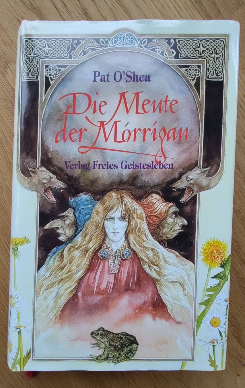 Libri: Die Meute der Morrigan - Pat O'Shea – Usato da Zürich venduto da kba_579s