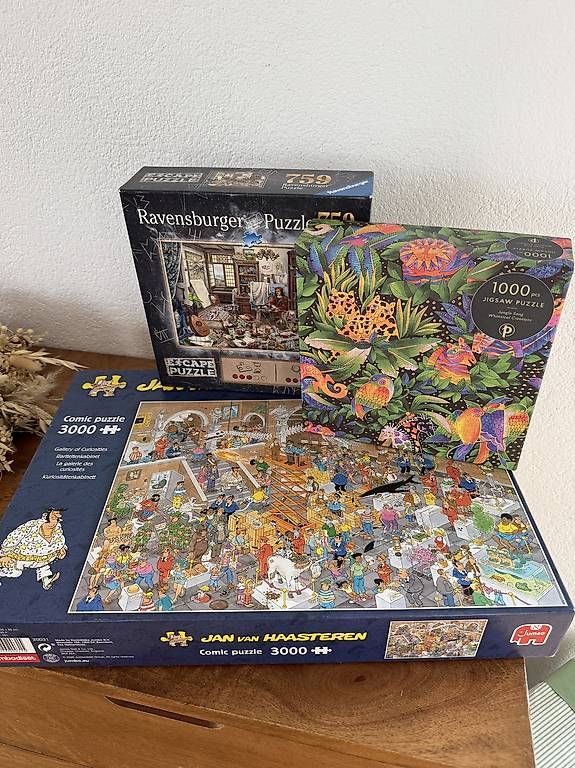 Ravensburger Puzzles: 3 Puzzle im Set – Gebraucht aus Wetzikon ZH von lis_5fjc