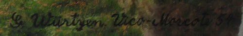 Dipinti: WÜRTZEN Gustav / VICO MORCOTE / Tessin – Usato da Basel venduto da basilisk04 8