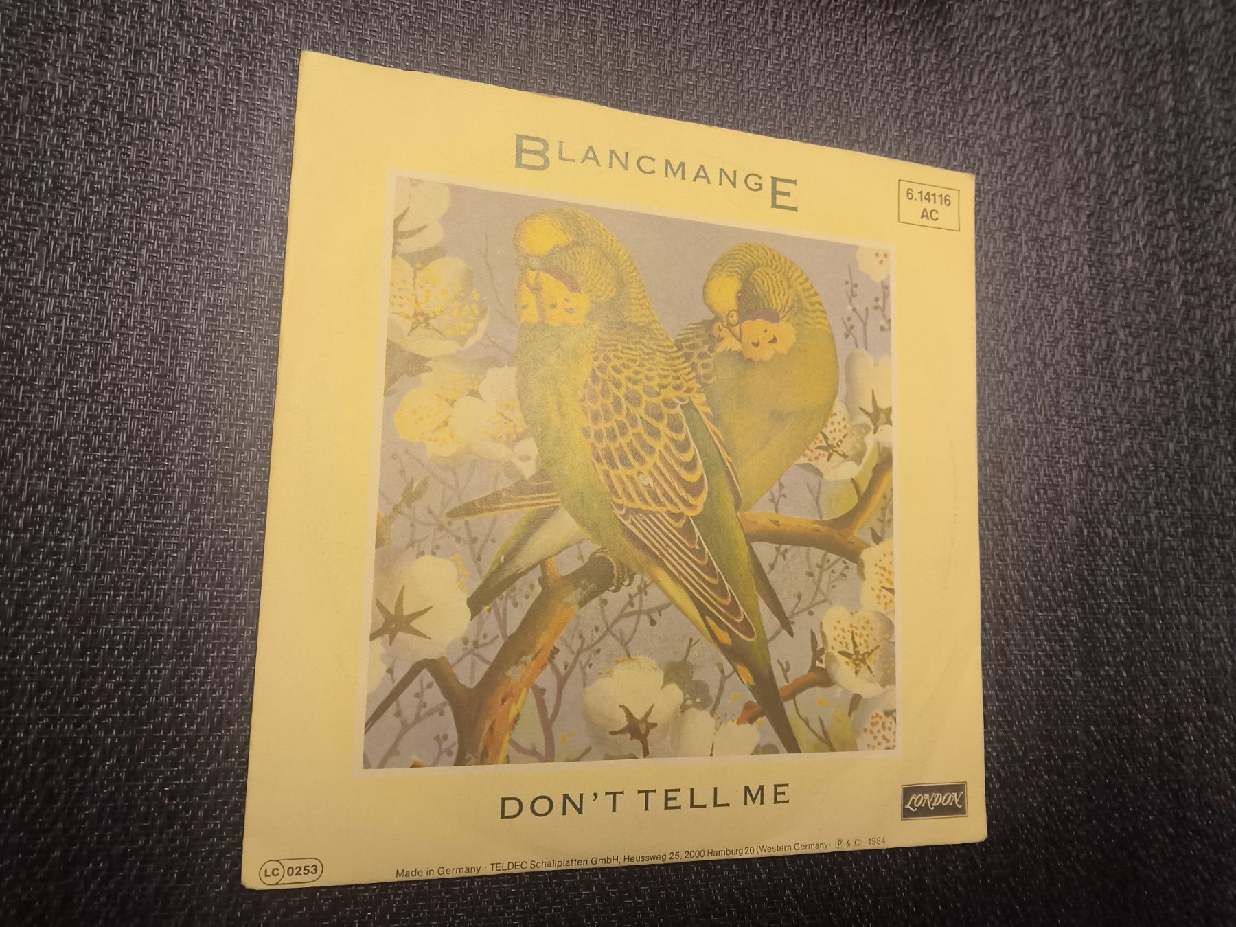 Dischi in vinile: VINYL Single: Blancmange - Don't Tell me – Usato da Allschwil venduto da marketingprojects 3