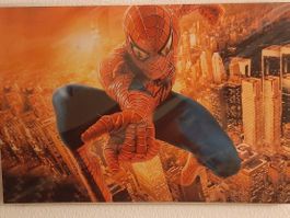 Spiderman in action LED Leuchtbild