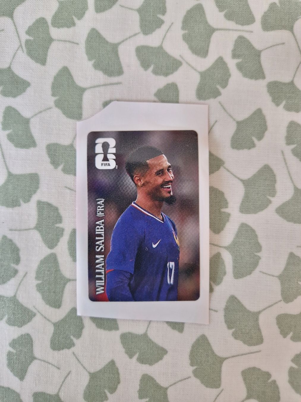 Panini Carte collezionabili: William Saliba (FRA) - Panini Coca-Cola – Nuovo (secondo la descrizione) da Romont FR venduto da raj_sjv9