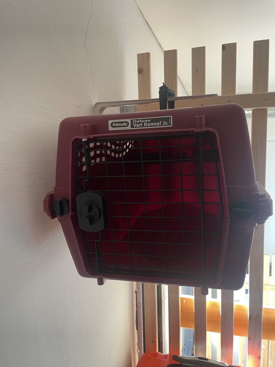 Gabbie, trasporto & Sicurezza: Gebrauchte Hunde-/Katzentransportbox Vari Kennel Junior – Usato da sennwald venduto da pablo.93 1