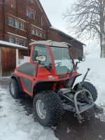 AEBI TT 205 Zweiachsmäher