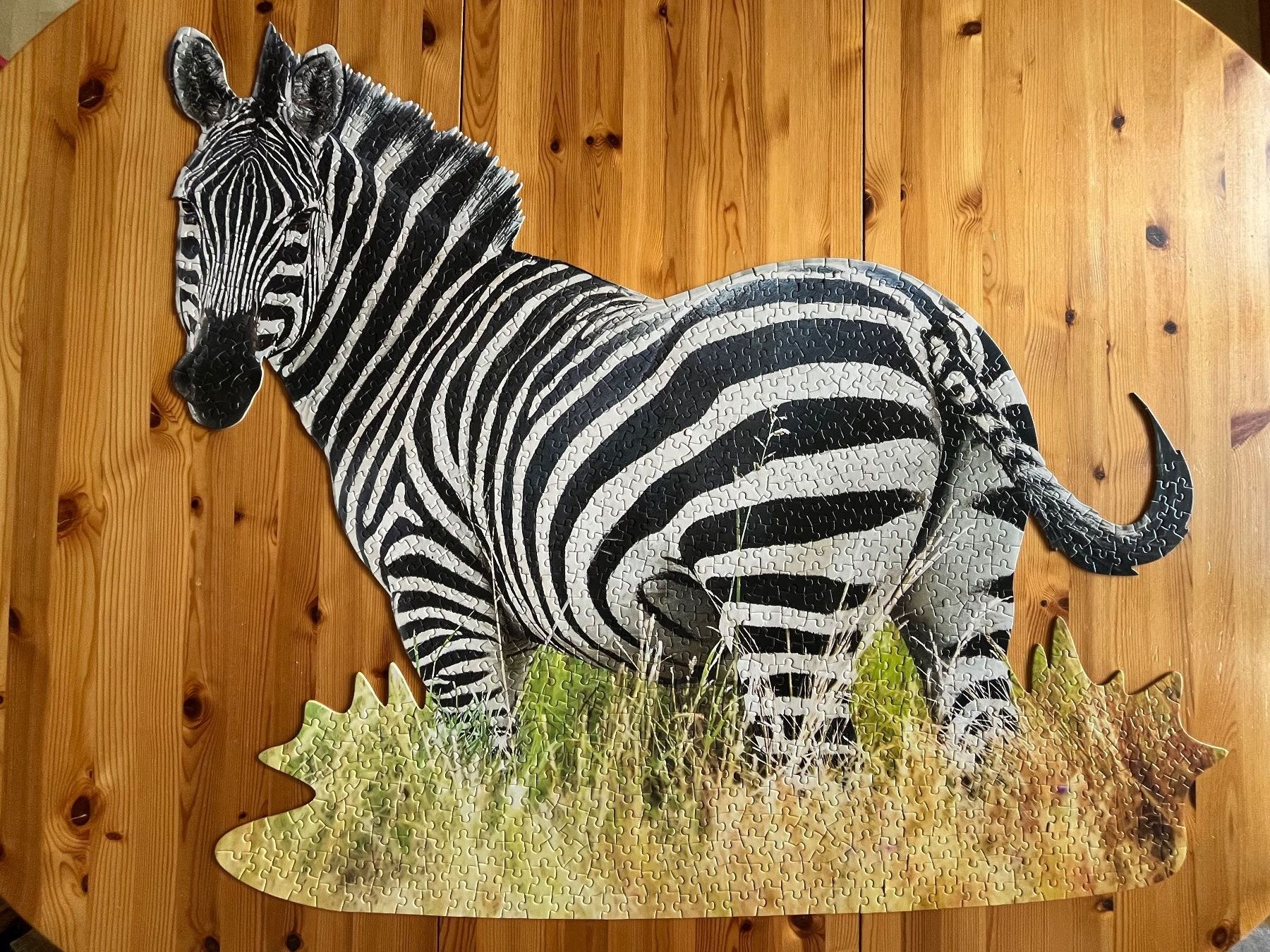 Puzzle: Zebra Puzzle, 1000 Teile – Usato da Zürich venduto da Gurkis 1