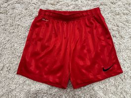 Nike Shorts Gr.S