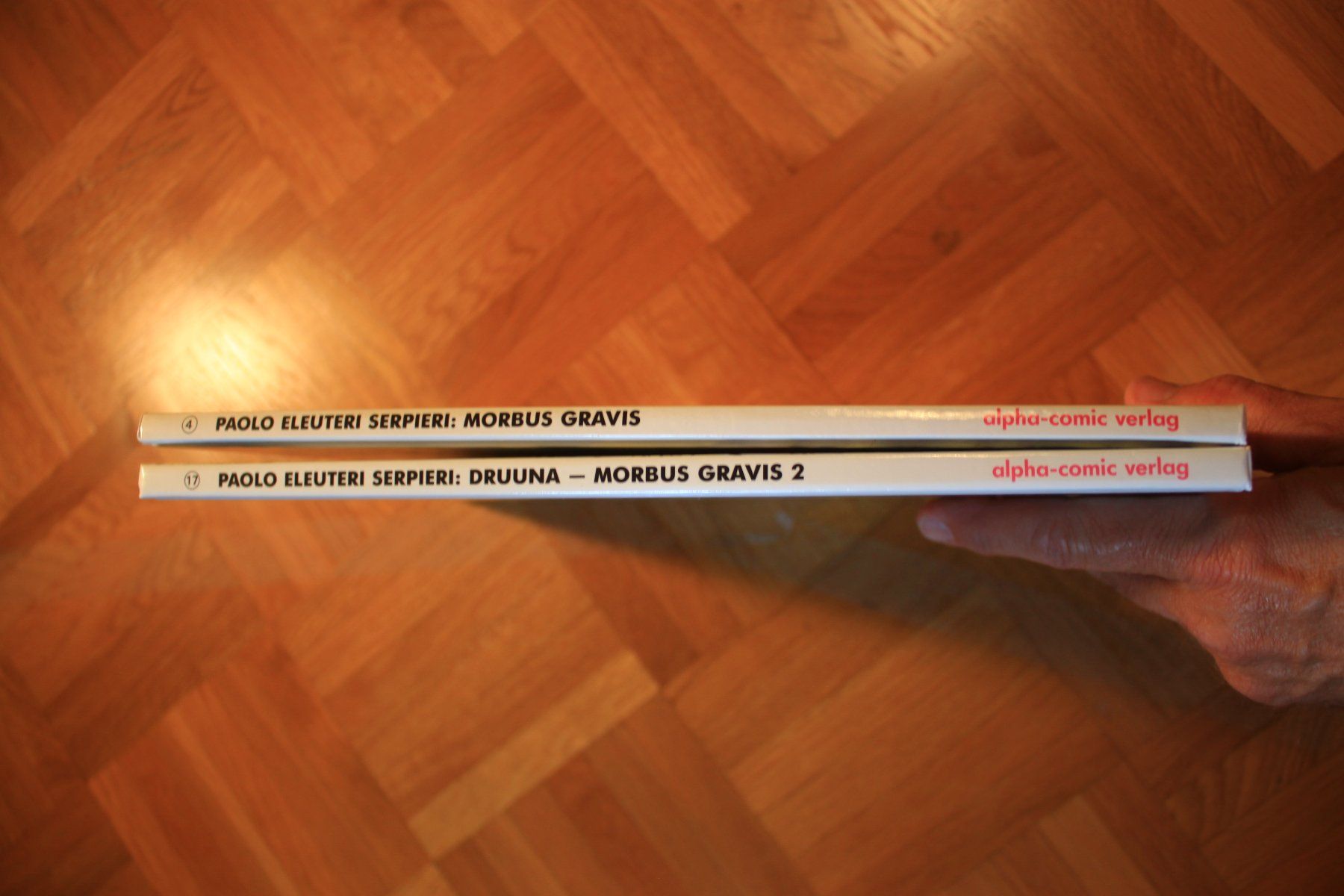 Comics: Serpieri: Morbus Gravis & Druuna (Morbus Gravis 2) – Gebraucht aus Reigoldswil von someya 2