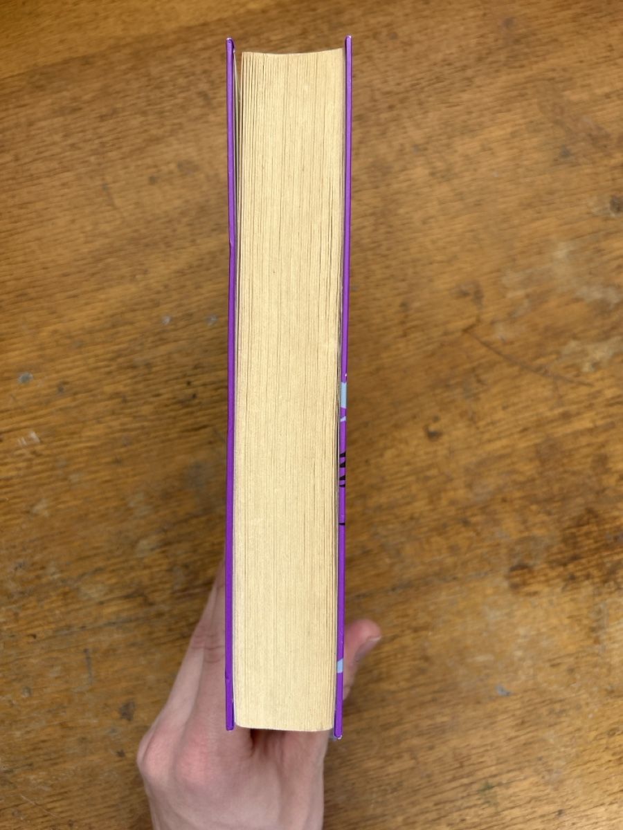 Libri: Buch Vilja und der Räuberschatz – Usato da Burgdorf venduto da Mm.ju 1