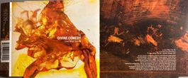 THE DIVINE COMEDY - LOVE WHAT YOU DO