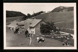 Weissenstein, Wirtschaft zum Sennhaus, W