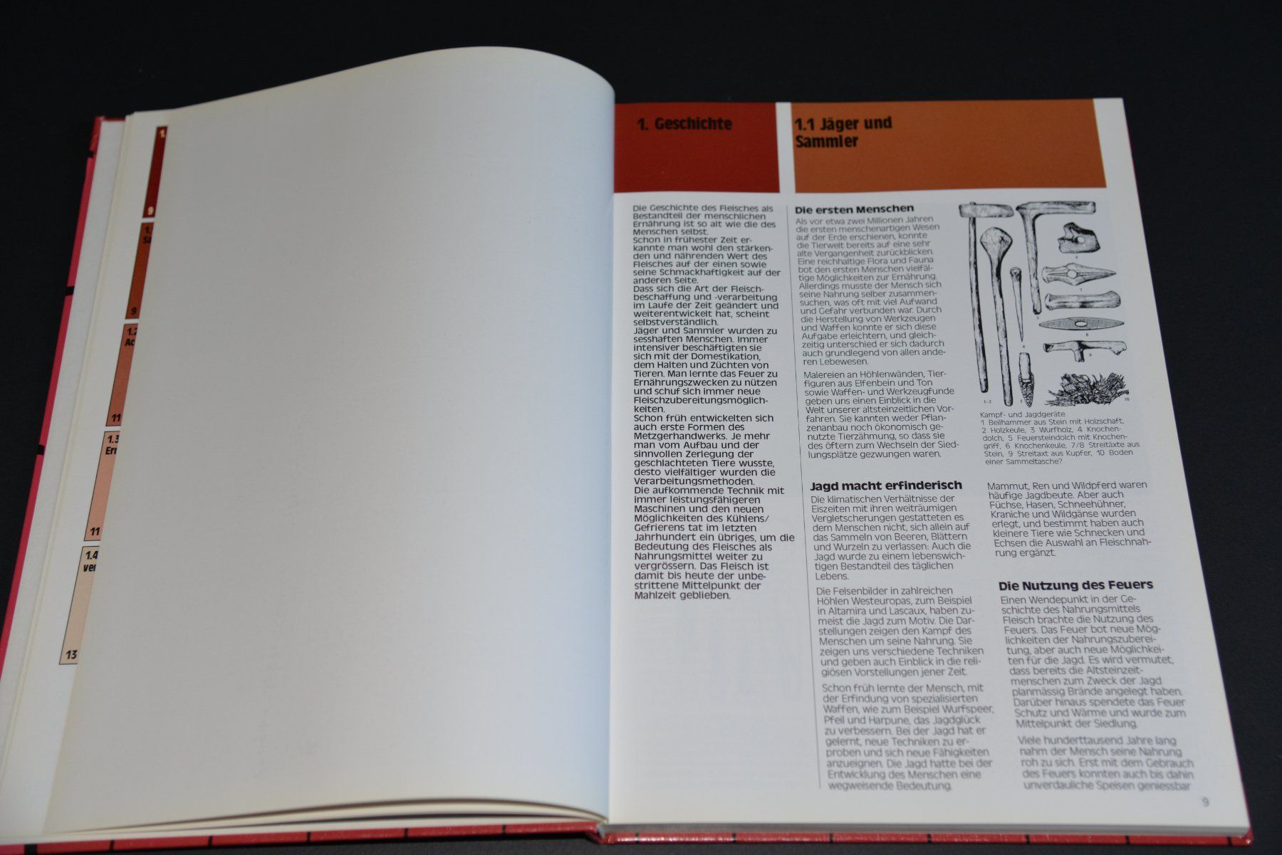 Libri: Stichwort Fleisch, 1. Auflage, 1985 – Usato da Lungern venduto da Kammer-Lungern 7