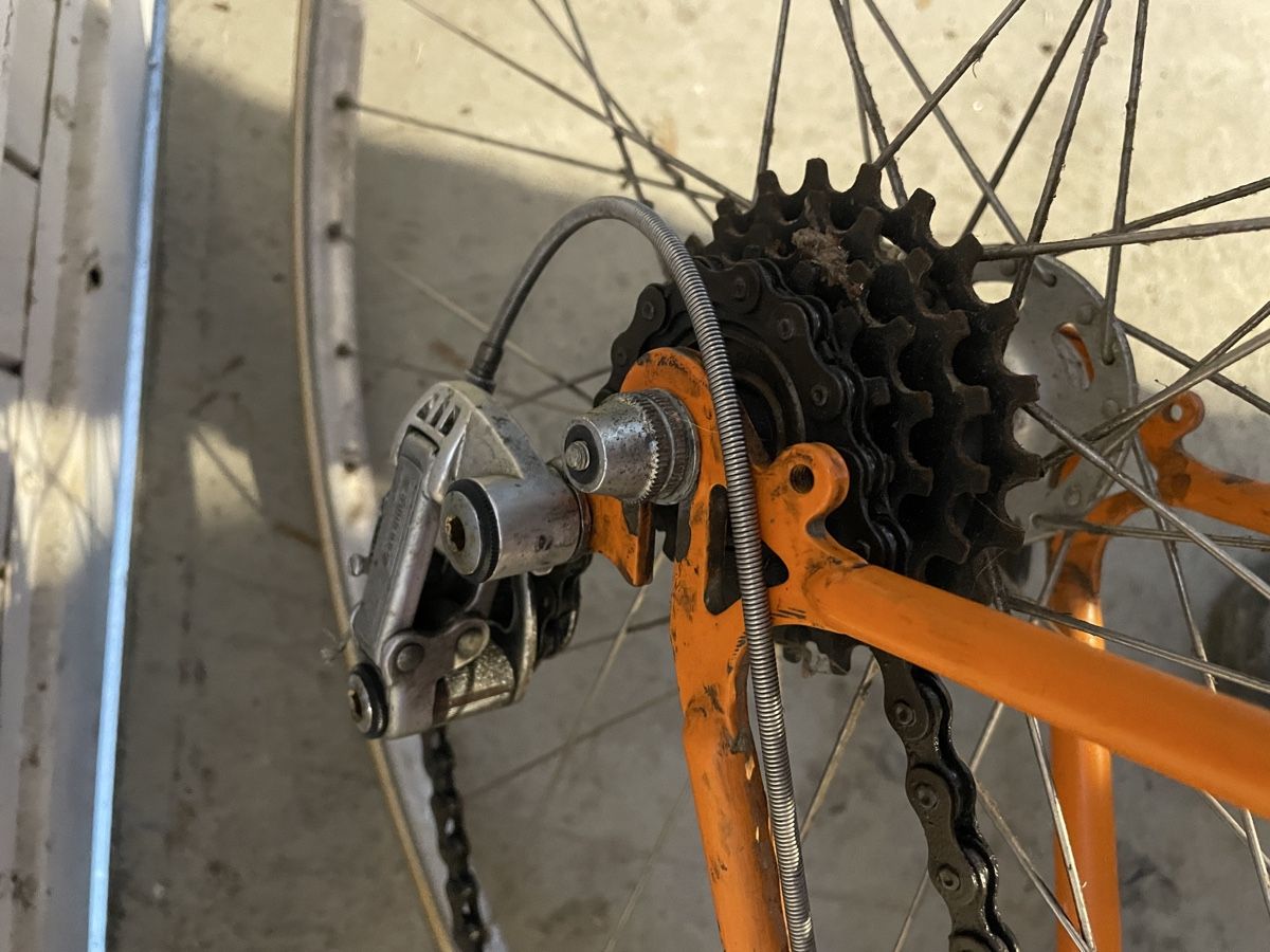 Biciclette: Eiger Rennvelo – Usato da Chur venduto da fan_gh6f 1