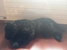 Semo Plüschtier Panther