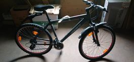 Bahnhof-Velo, Leopard Mountainbike 26 Zoll