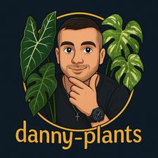 Profile image of DanielTantos