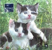 Serviette susi & sammy (1119) 3Stk.
