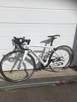 RIDLEY Rennvelo / Carbon / Ultegra Di2 / Top Zustand !