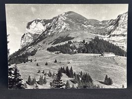Gros Plané & le Moléson