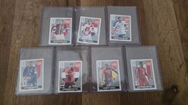 7x SILBERNE EXTRA STICKER WM 2026