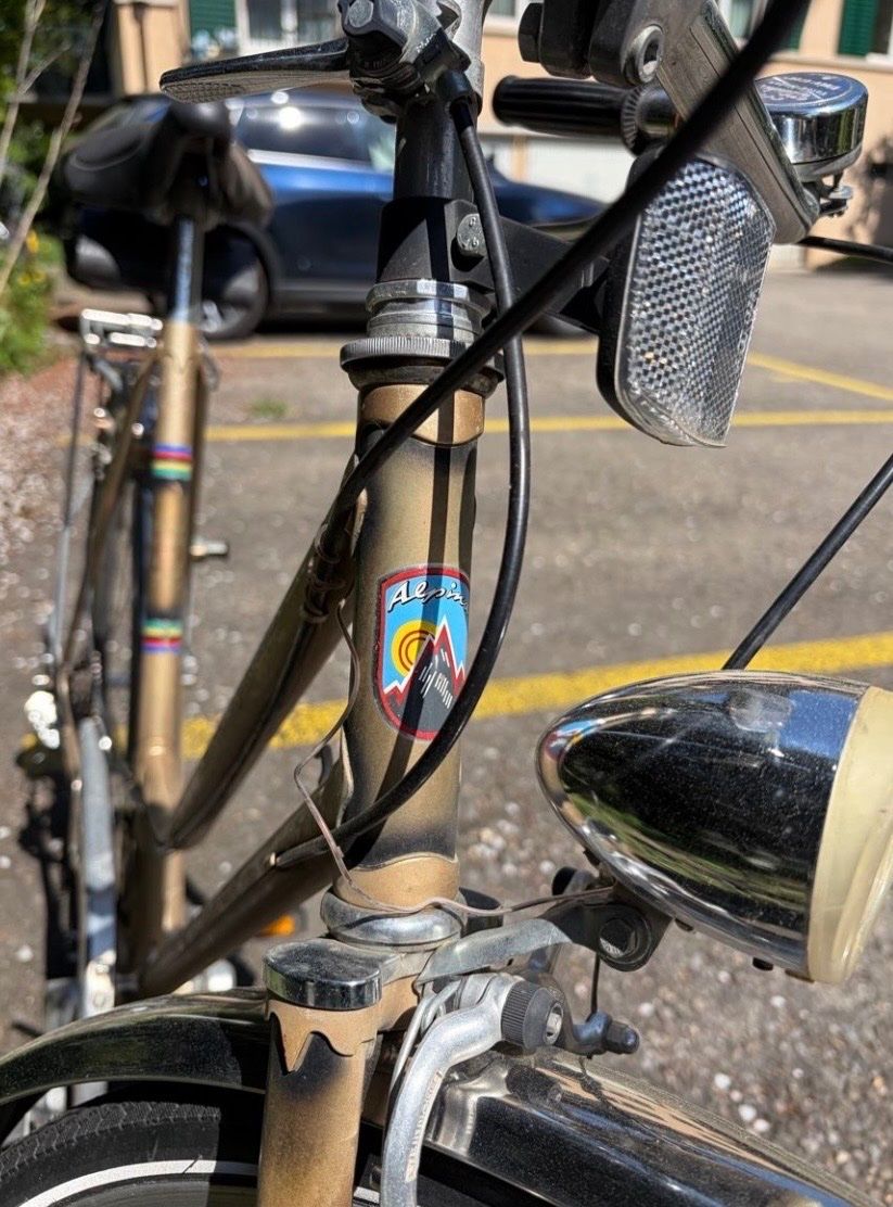 Alpina Biciclette: Vintage Alpina Damenrad – Difettoso da Zürich venduto da sim_z5x5 2