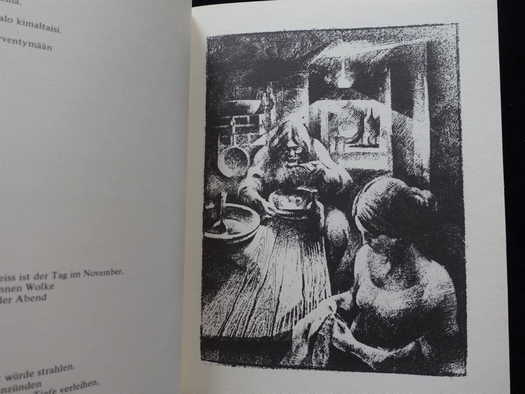 Libri: Talven Ainoa Valo / signiert – Usato da Gutenswil venduto da Optico 5