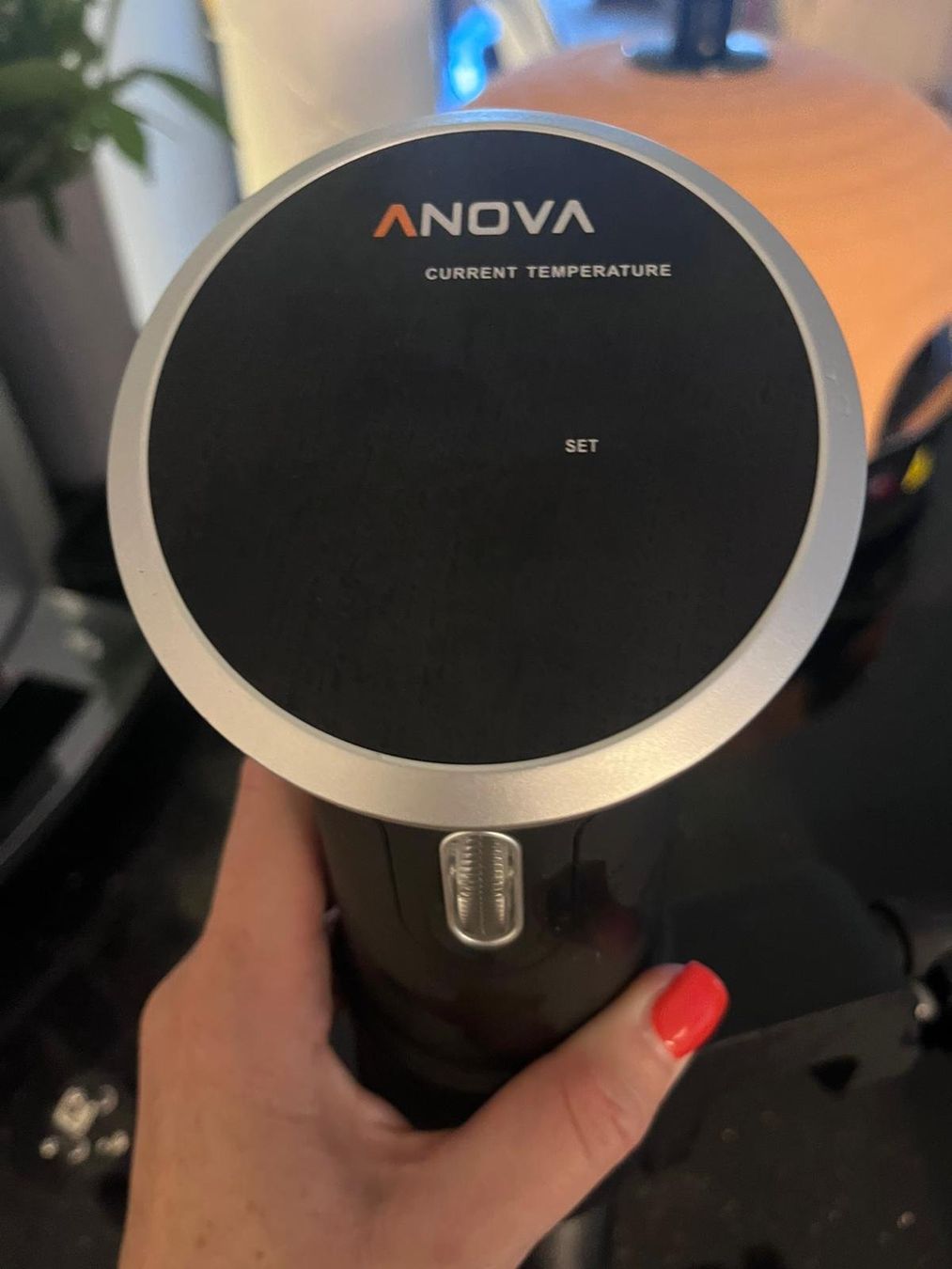 Elettrodomestici da cucina: Anova Precision Cooker 2.0- gebraucht – Usato da Aathal-Seegräben venduto da Kati_Mey 1