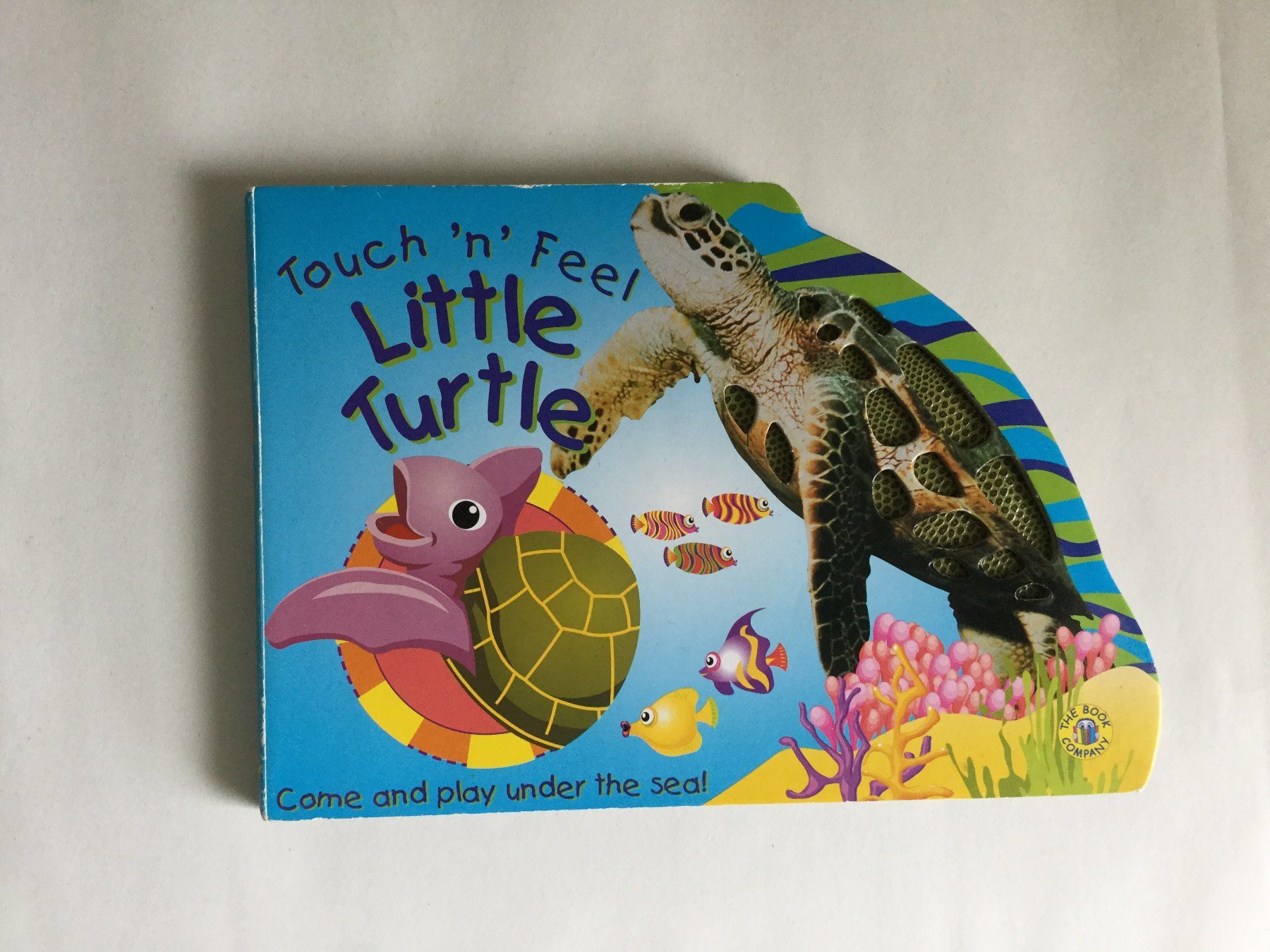 Libri: Buch : Touch 'n' feel - little Turtle – Usato da Boppelsen venduto da KASIBO