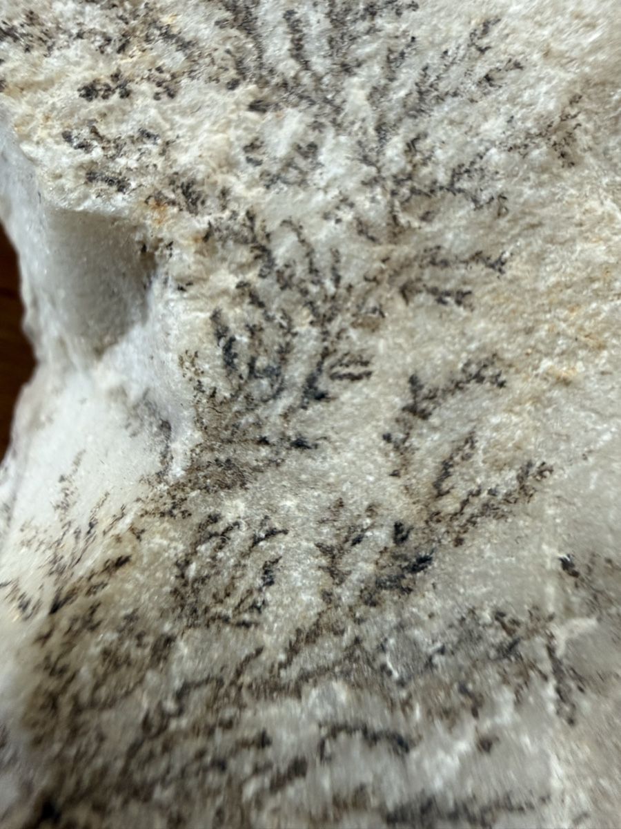 Minerali & Pietre curative:  Manganoxid-Dendrite – Usato da Grenchen venduto da Bastet007 7