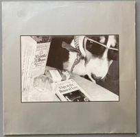 THE HOUSE OF LOVE - A SPY IN THE HOUSE OF LOVE