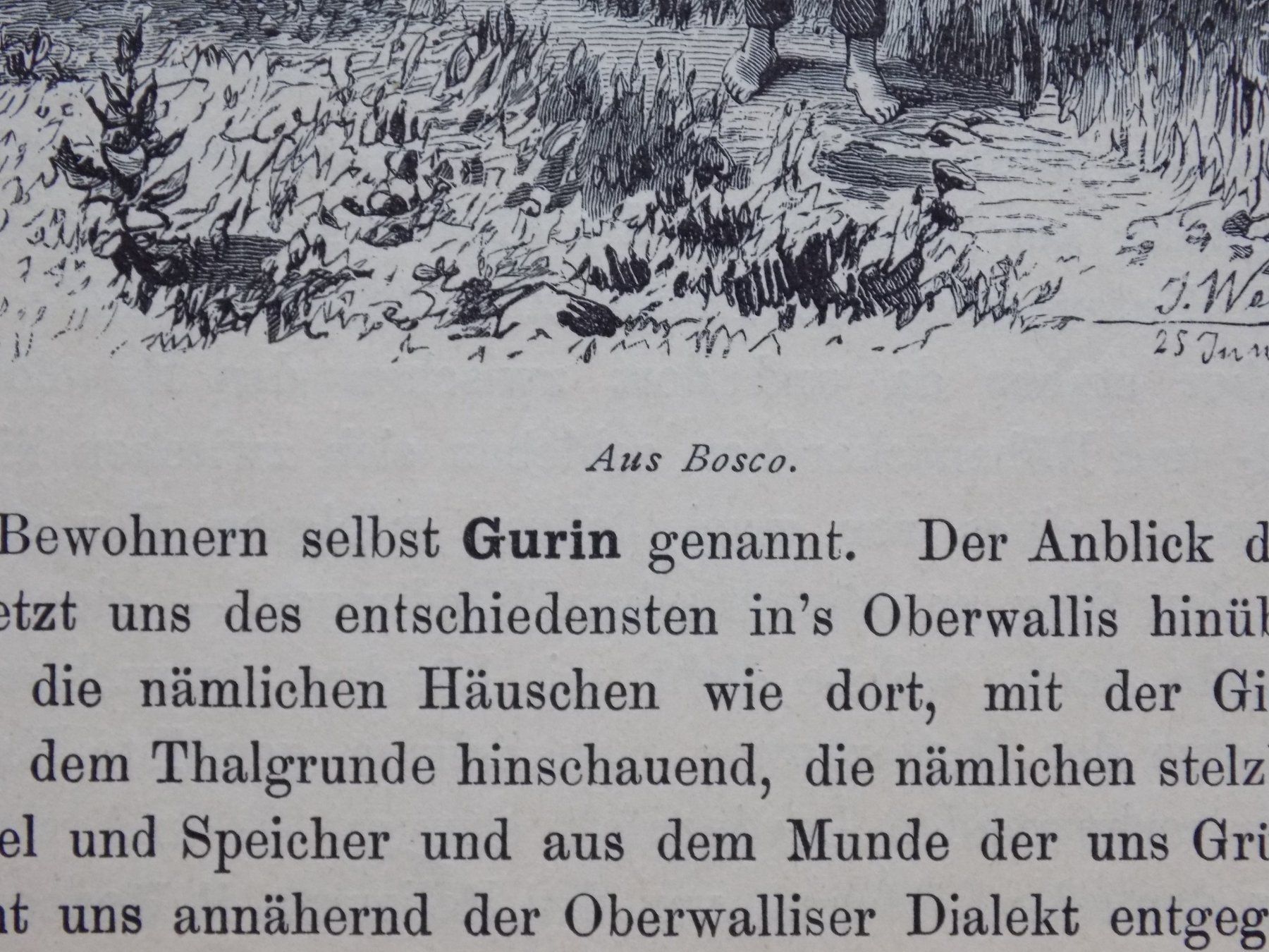 Stiche: Bosco Ticino – Gebraucht aus Risch von Rischli15 2