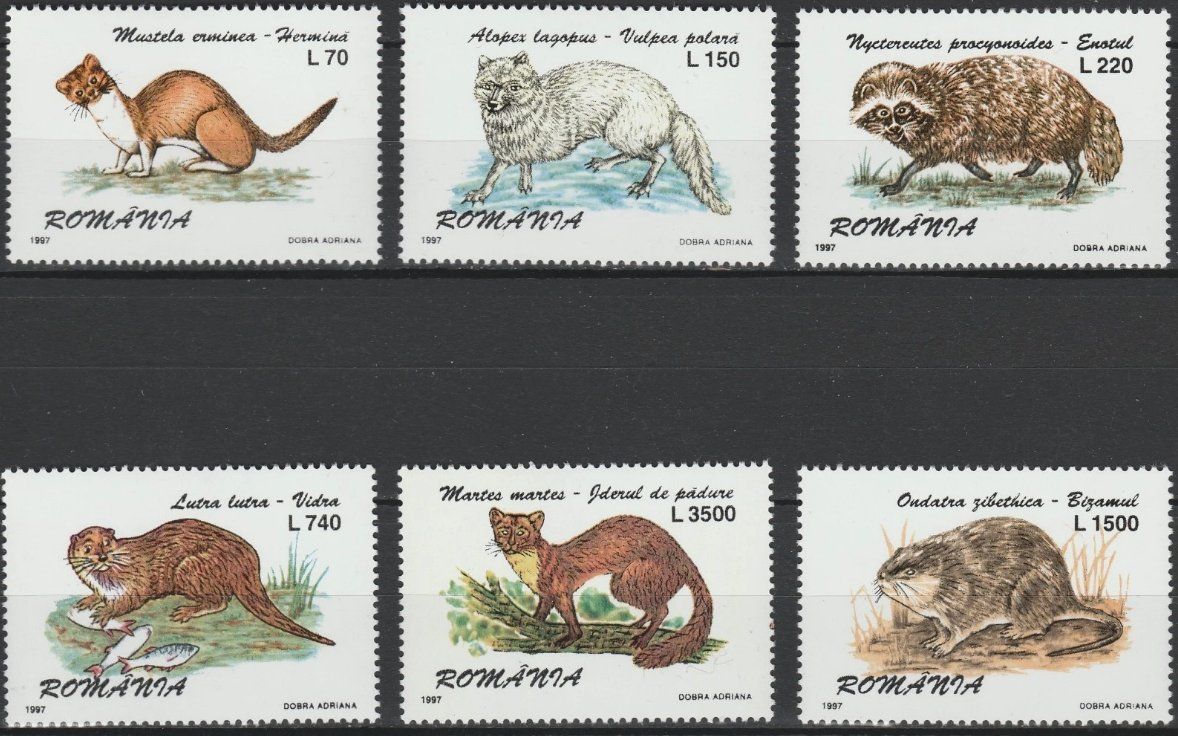 Tutti i francobolli: Rumänien 1997 Tiere postfrisch – Nuovo (secondo la descrizione) da Lausanne venduto da dsi_7l2q