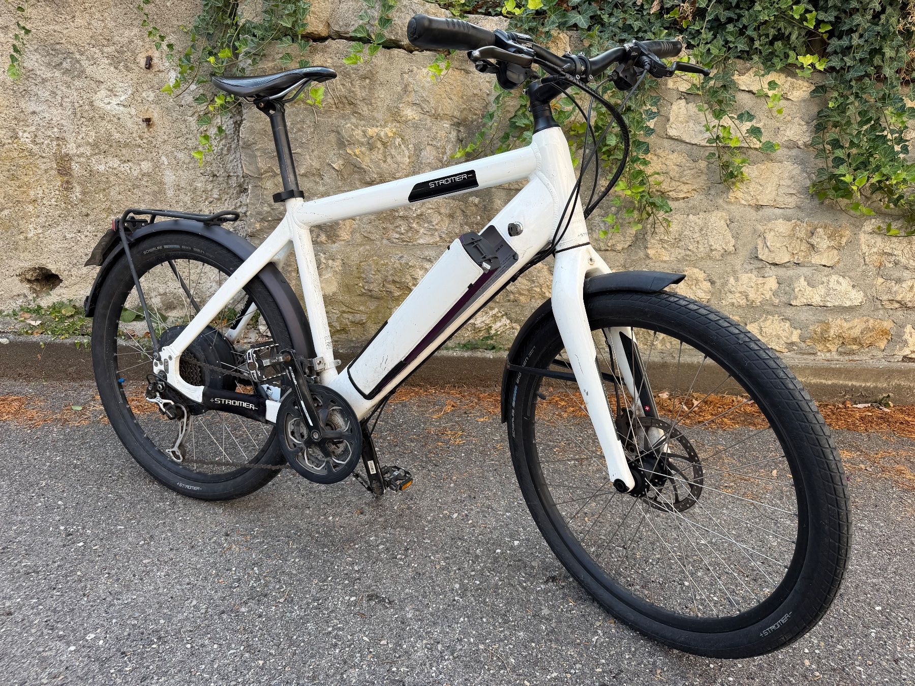 Stromer Biciclette: Stromer ST1 45kmh Ebike Ab1.- – Difettoso da Zuchwil venduto da cer_tb8y 3
