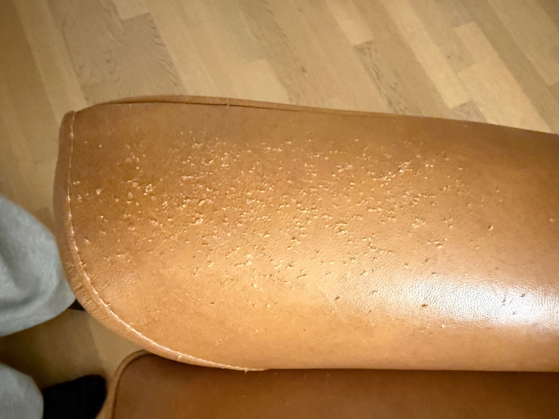 Natuzzi Fauteuils: Natuzzi Ohrensessel Leder braun/taback – Neuf (Voir description) à Hombrechtikon par Powerangel10 4