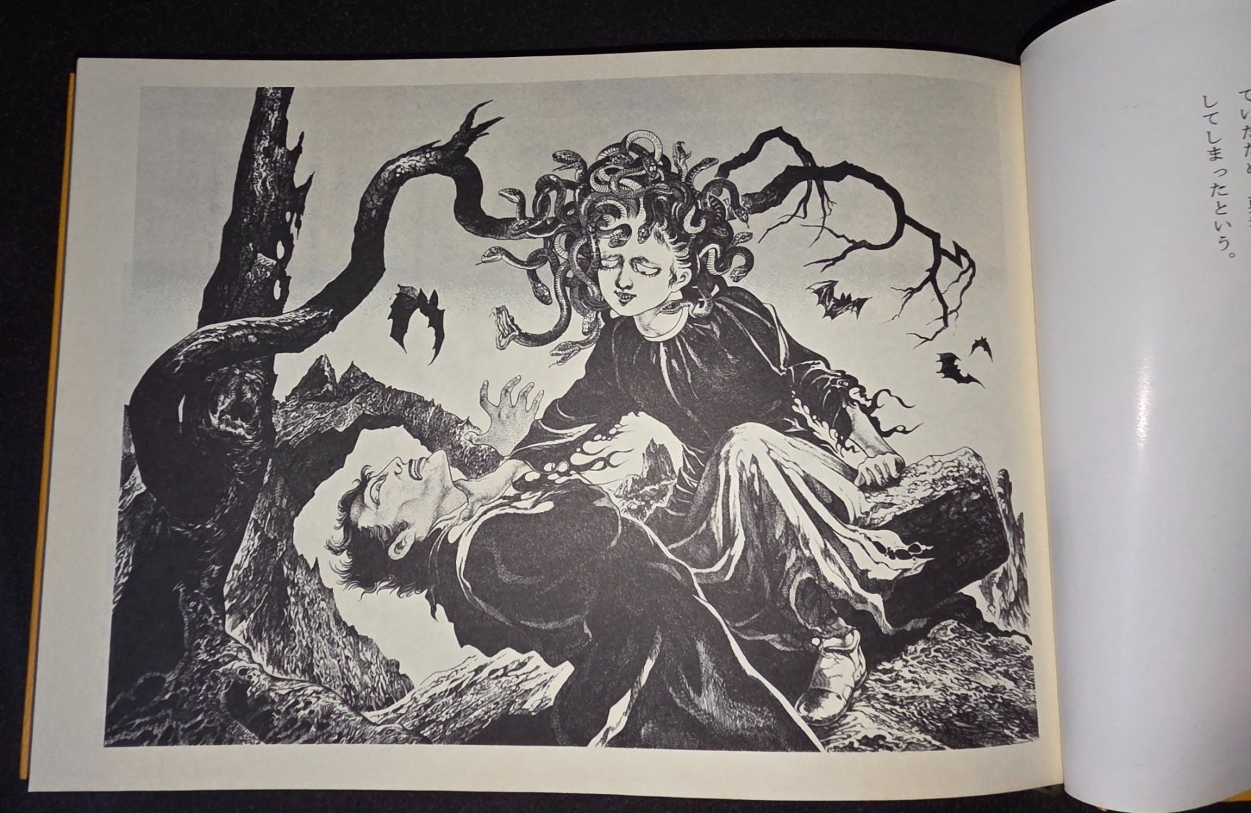 Fumetti: ARTBOOK Shigeru Mizuki – Usato da Thierrens venduto da coc_vk62 4
