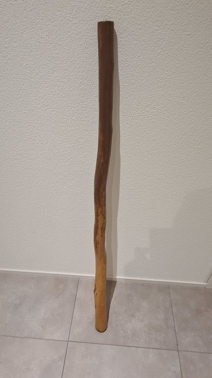 didgeridoo-aus-eukalyptusholz-kaufen-auf-ricardo
