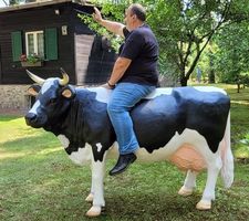 Kuh lebensgroß / Offerte anfragen bei Lieferung / Schweiz